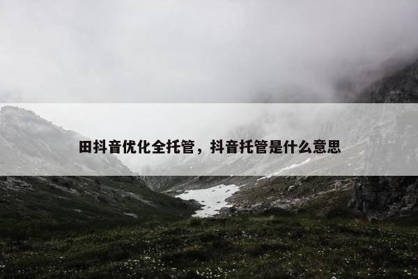 田抖音优化全托管，抖音托管是什么意思