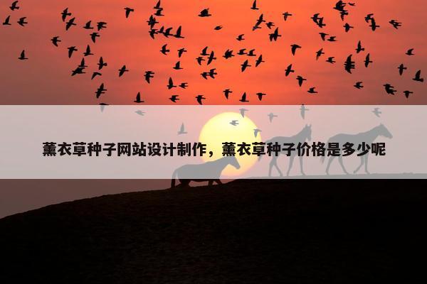 薰衣草种子网站设计制作，薰衣草种子价格是多少呢