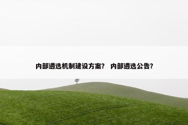 内部遴选机制建设方案？ 内部遴选公告？