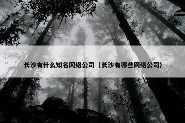长沙有什么知名网络公司（长沙有哪些网络公司）