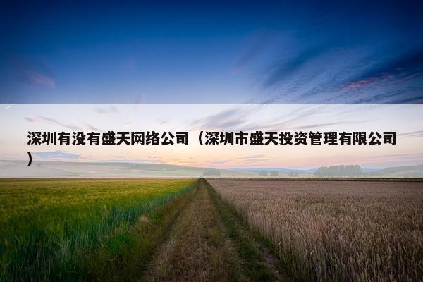深圳有没有盛天网络公司（深圳市盛天投资管理有限公司）