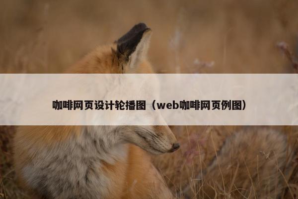 咖啡网页设计轮播图（web咖啡网页例图）