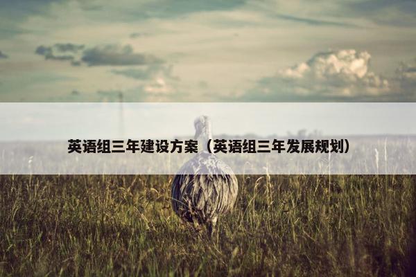 英语组三年建设方案（英语组三年发展规划）