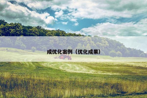 成优化案例（优化成果）