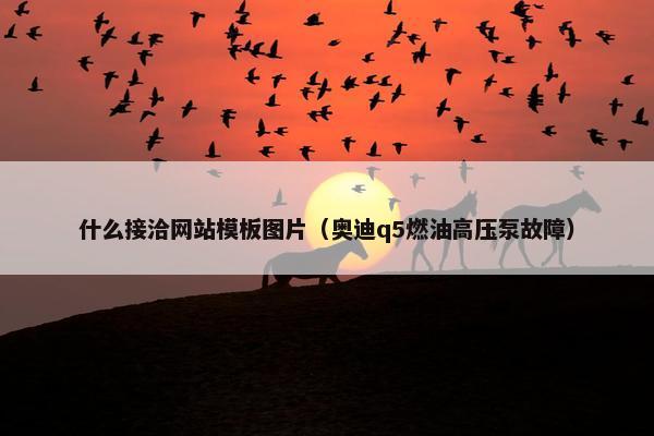 什么接洽网站模板图片（奥迪q5燃油高压泵故障）