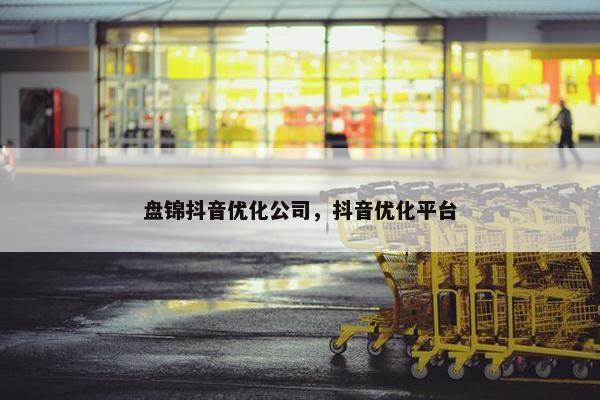 盘锦抖音优化公司，抖音优化平台