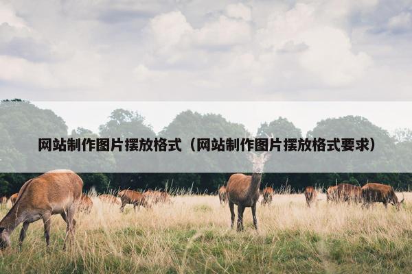 网站制作图片摆放格式（网站制作图片摆放格式要求）
