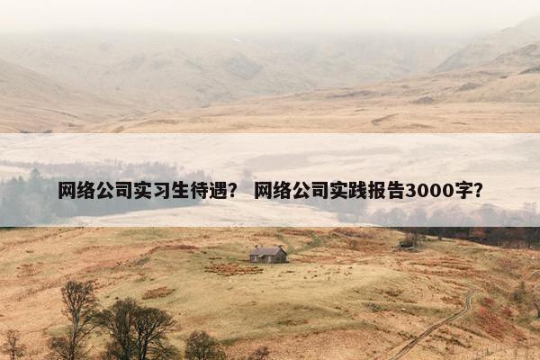 网络公司实习生待遇？ 网络公司实践报告3000字？