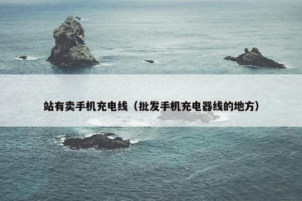 站有卖手机充电线（批发手机充电器线的地方）