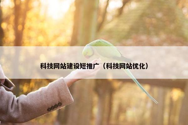 科技网站建设短推广（科技网站优化）