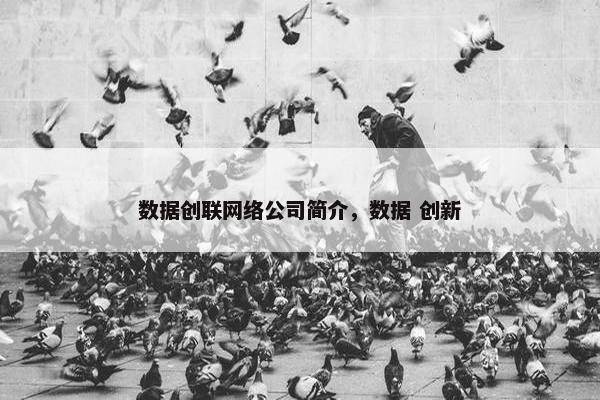 数据创联网络公司简介，数据 创新