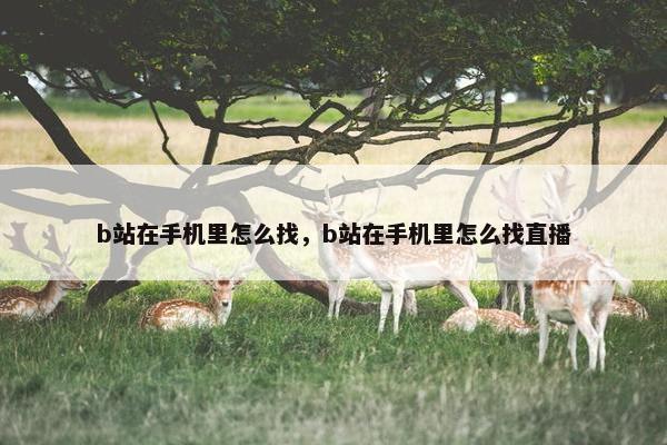 b站在手机里怎么找，b站在手机里怎么找直播