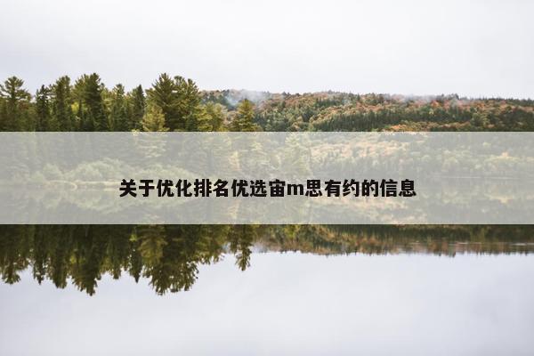 关于优化排名优选宙m思有约的信息