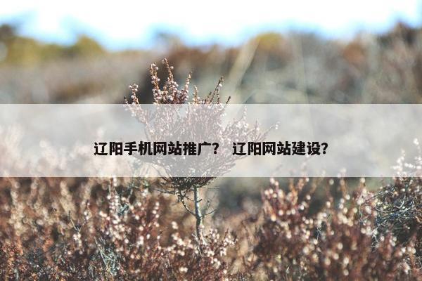 辽阳手机网站推广？ 辽阳网站建设？