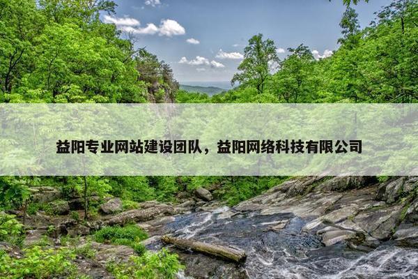 益阳专业网站建设团队，益阳网络科技有限公司
