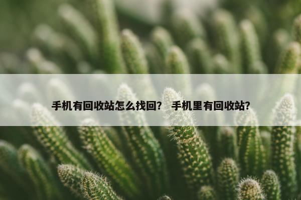 手机有回收站怎么找回？ 手机里有回收站？
