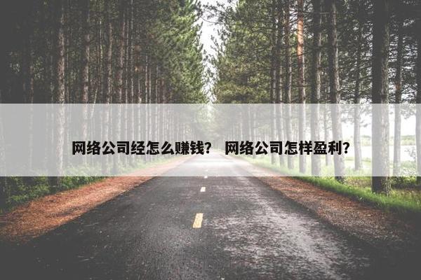 网络公司经怎么赚钱？ 网络公司怎样盈利？