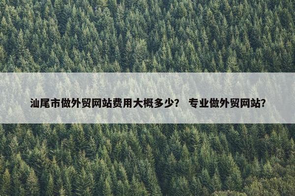 汕尾市做外贸网站费用大概多少？ 专业做外贸网站？