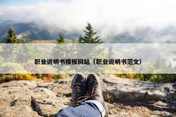 职业说明书模板网站（职业说明书范文）