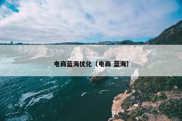 电商蓝海优化（电商 蓝海）