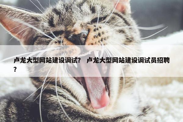 卢龙大型网站建设调试？ 卢龙大型网站建设调试员招聘？