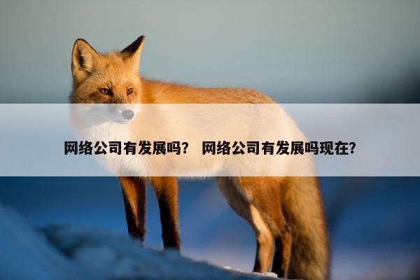 网络公司有发展吗？ 网络公司有发展吗现在？