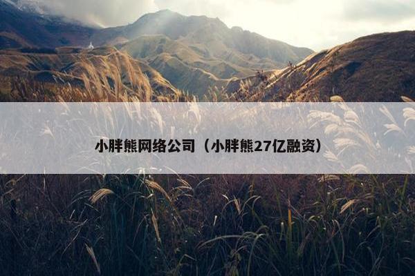 小胖熊网络公司（小胖熊27亿融资）