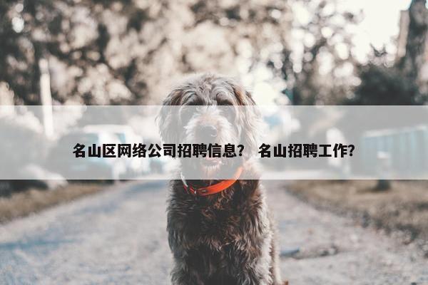 名山区网络公司招聘信息？ 名山招聘工作？