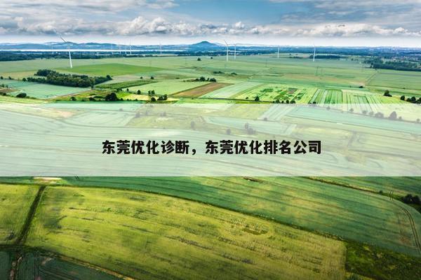 东莞优化诊断，东莞优化排名公司