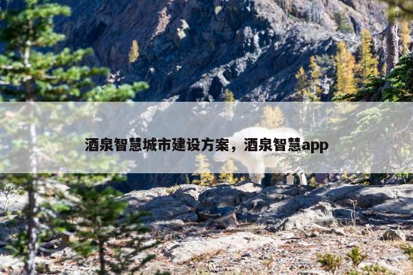 酒泉智慧城市建设方案，酒泉智慧app