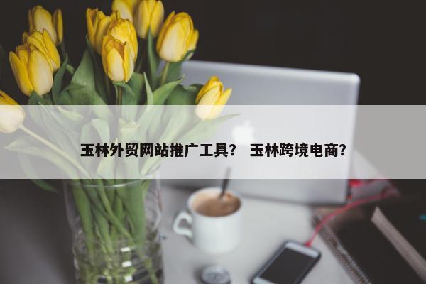 玉林外贸网站推广工具？ 玉林跨境电商？