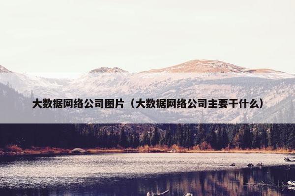 大数据网络公司图片（大数据网络公司主要干什么）