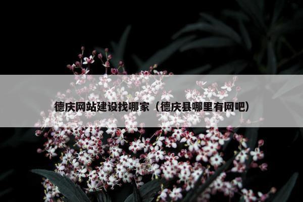 德庆网站建设找哪家（德庆县哪里有网吧）