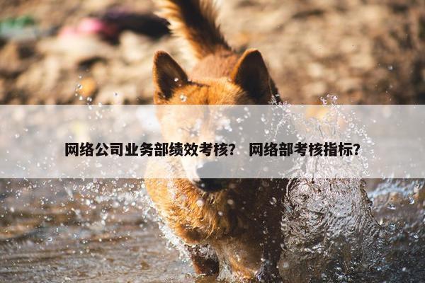 网络公司业务部绩效考核？ 网络部考核指标？