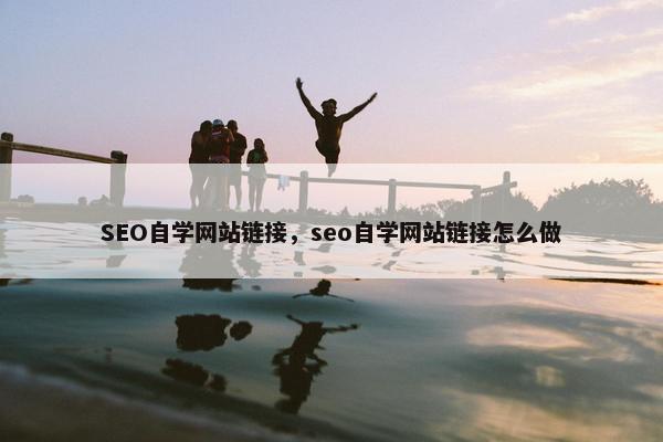 SEO自学网站链接，seo自学网站链接怎么做