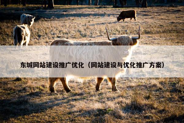 东城网站建设推广优化（网站建设与优化推广方案）