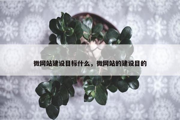 微网站建设目标什么，微网站的建设目的