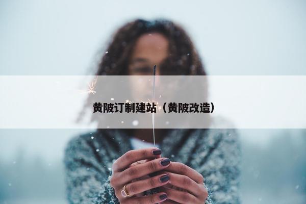 黄陂订制建站（黄陂改造）