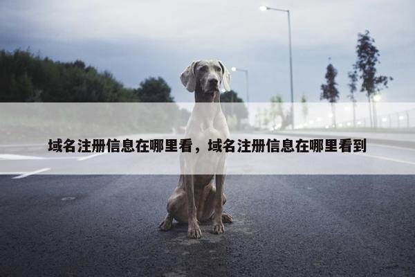 域名注册信息在哪里看，域名注册信息在哪里看到