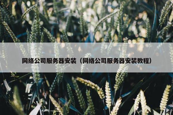 网络公司服务器安装（网络公司服务器安装教程）