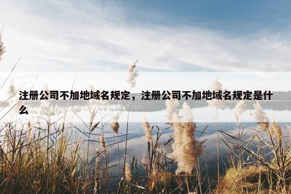 注册公司不加地域名规定，注册公司不加地域名规定是什么
