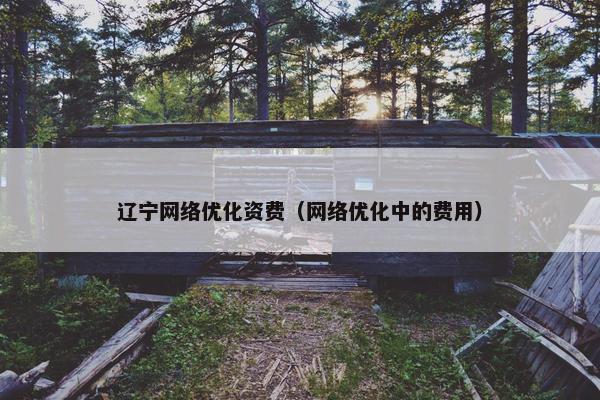 辽宁网络优化资费（网络优化中的费用）