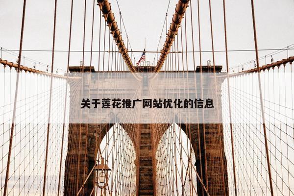 关于莲花推广网站优化的信息