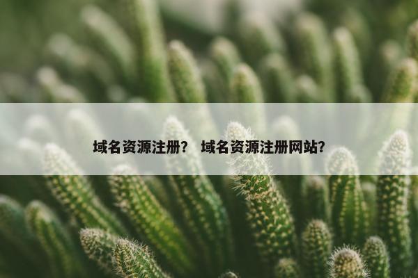 域名资源注册？ 域名资源注册网站？