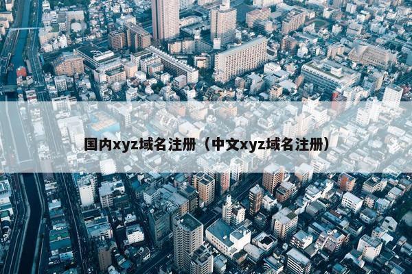 国内xyz域名注册（中文xyz域名注册）