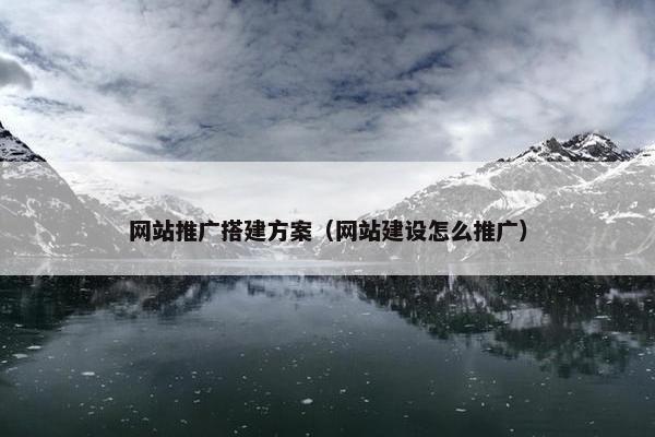 网站推广搭建方案（网站建设怎么推广）