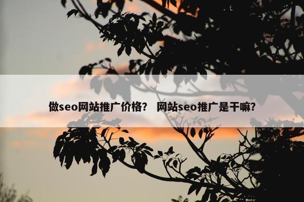 做seo网站推广价格？ 网站seo推广是干嘛？