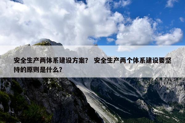 安全生产两体系建设方案？ 安全生产两个体系建设要坚持的原则是什么？