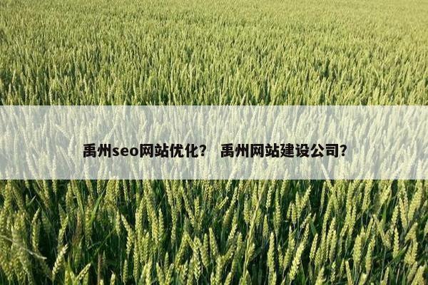 禹州seo网站优化？ 禹州网站建设公司？