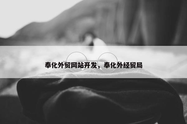 奉化外贸网站开发，奉化外经贸局
